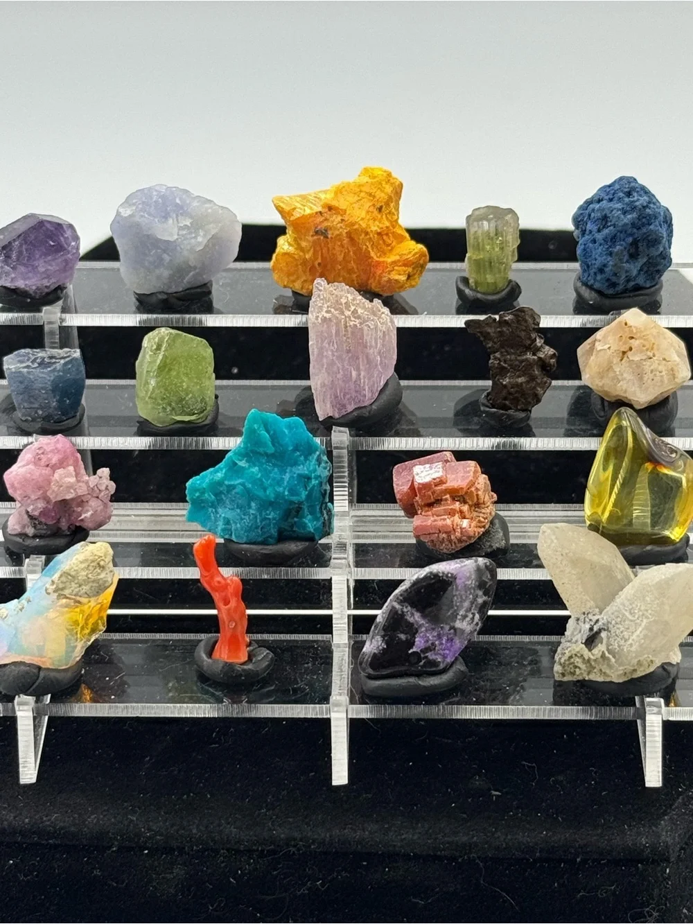 Mini Display with 18 specimens